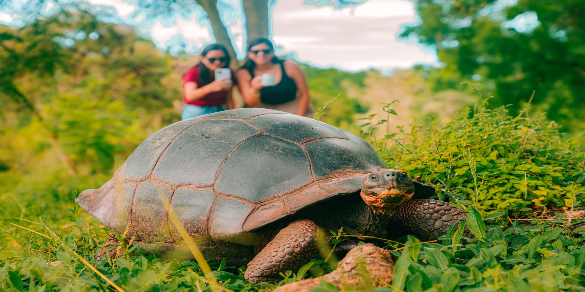 Islas Galápagos